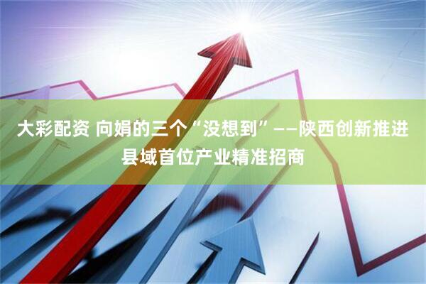 大彩配资 向娟的三个“没想到”——陕西创新推进县域首位产业精准招商