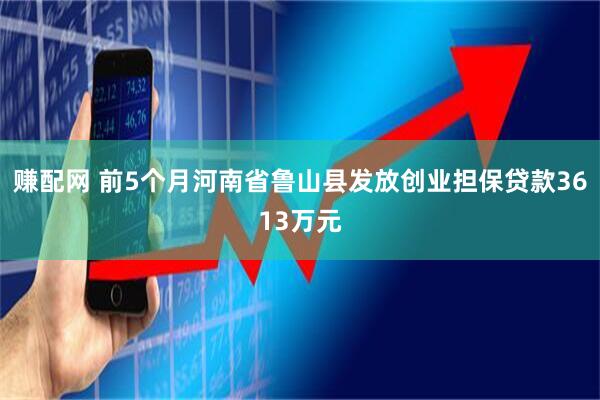 赚配网 前5个月河南省鲁山县发放创业担保贷款3613万元