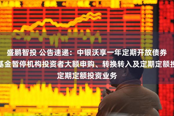 盛鹏智投 公告速递：中银沃享一年定期开放债券发起式基金暂停机构投资者大额申购、转换转入及定期定额投资业务