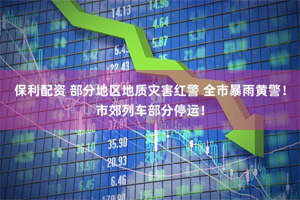 保利配资 部分地区地质灾害红警 全市暴雨黄警！市郊列车部分停运！