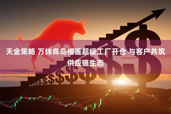 天金策略 万纬青岛榴莲超级工厂开仓 与客户共筑供应链生态