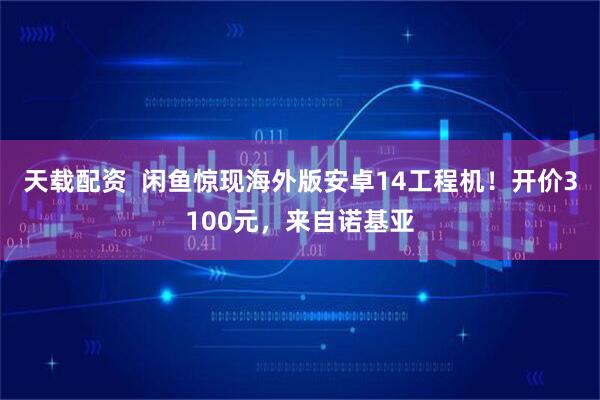 天载配资  闲鱼惊现海外版安卓14工程机！开价3100元，来自诺基亚