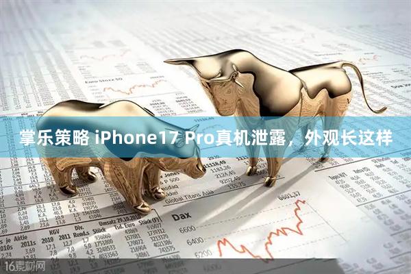 掌乐策略 iPhone17 Pro真机泄露，外观长这样