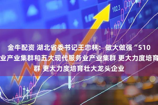 金牛配资 湖北省委书记王忠林：做大做强“51020”先进制造业产业集群和五大现代服务业产业集群 更大力度培育壮大龙头企业