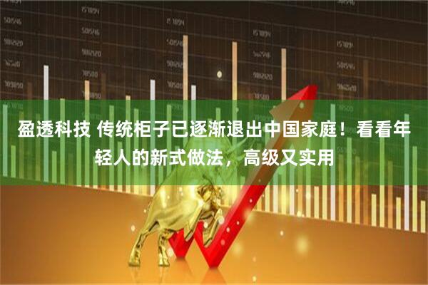 盈透科技 传统柜子已逐渐退出中国家庭！看看年轻人的新式做法，高级又实用