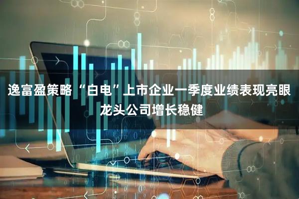 逸富盈策略 “白电”上市企业一季度业绩表现亮眼 龙头公司增长稳健