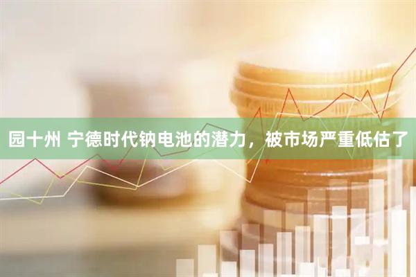 园十州 宁德时代钠电池的潜力，被市场严重低估了